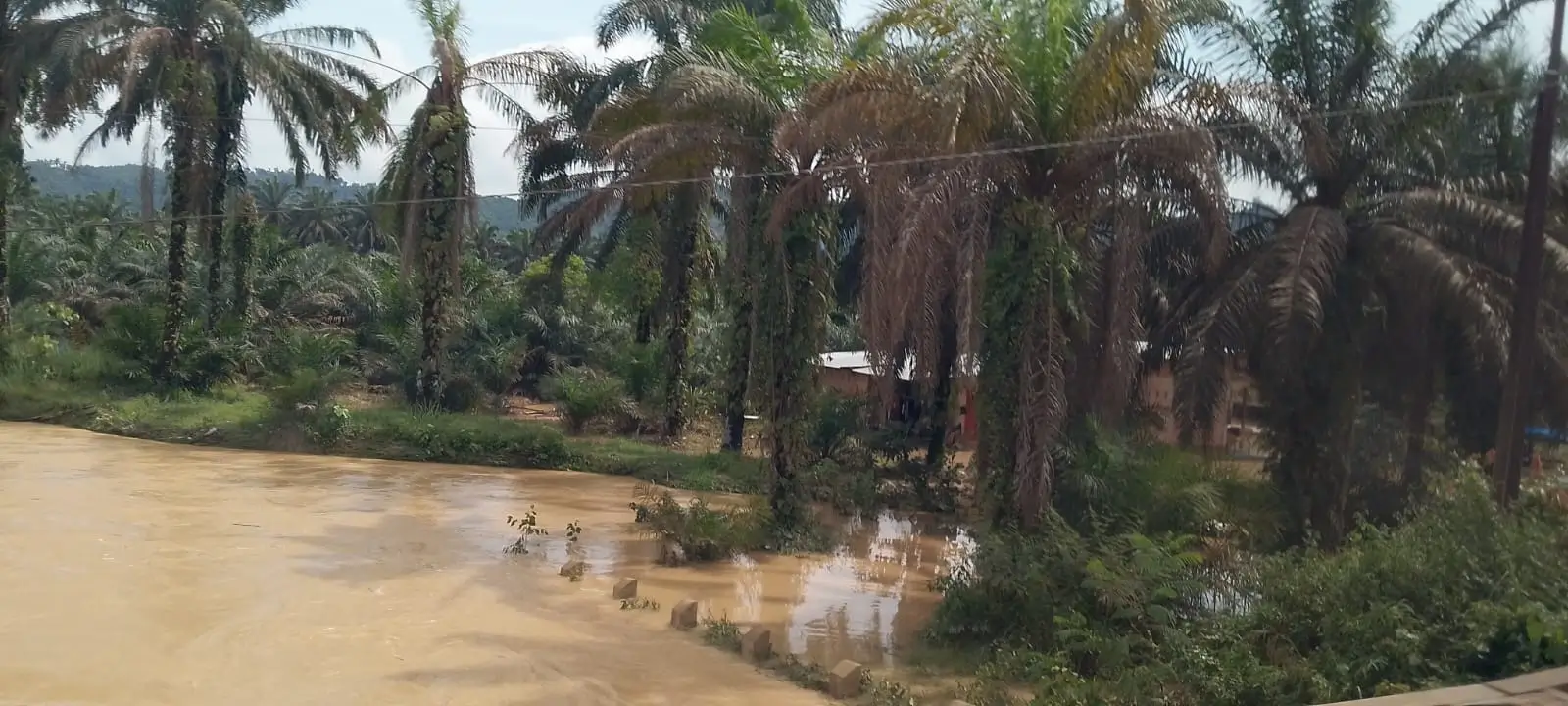 Perkembangan Situasi dan Penanganan Bencana Tanggal 22 Februari 2025